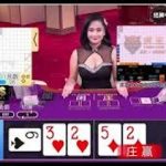 如何利用“单跳模式”精准掌控庄闲走势？-百家乐技巧-百家乐论坛-百家乐经验